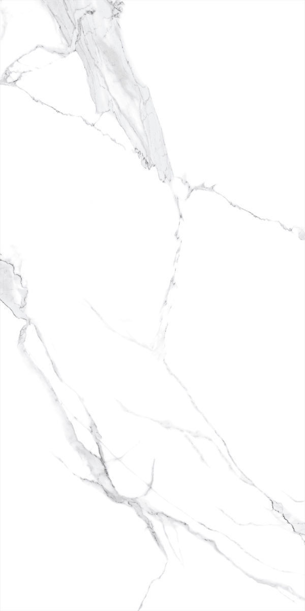 Calacatta Bianco XXL Polished Wall & Floor Tiles - 1200x600mm