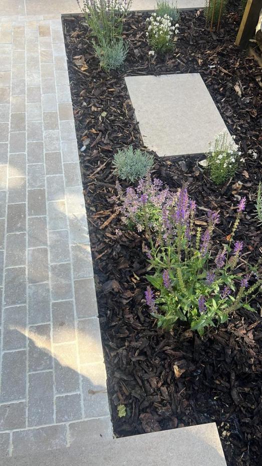 Dijon Limestone Honed Tumbled Cobbles - 200x100x30mm