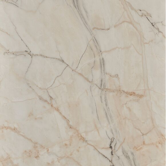 Shell Marble Wall Panel