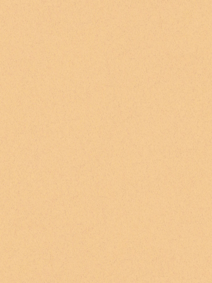 Yellow Orca Porcelain Tiles - 1200x600mm